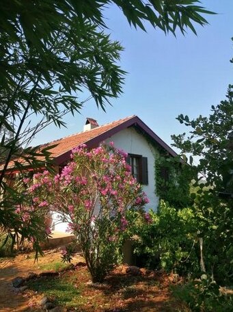 Bamboo Cottage Kayakoy - Photo2