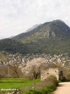 Villa Rhapsody Pension - Photo4