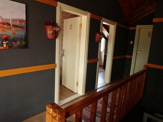 Danube Surf House and Academy - Photo3