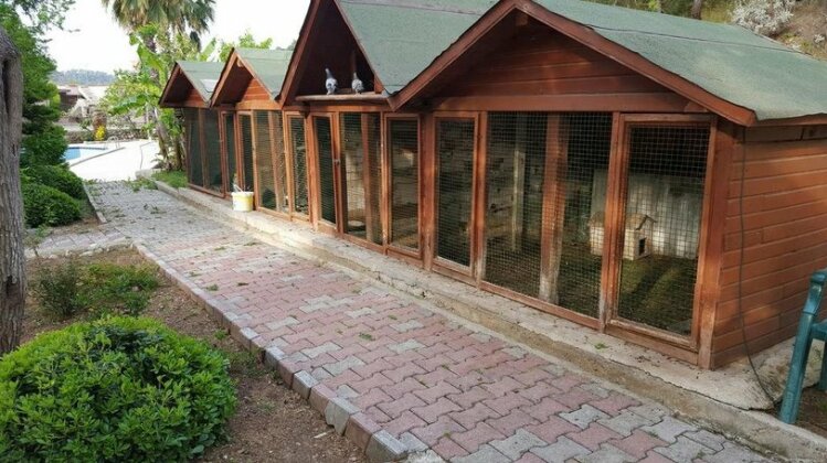 Oranj Ranch Hotel - Photo2