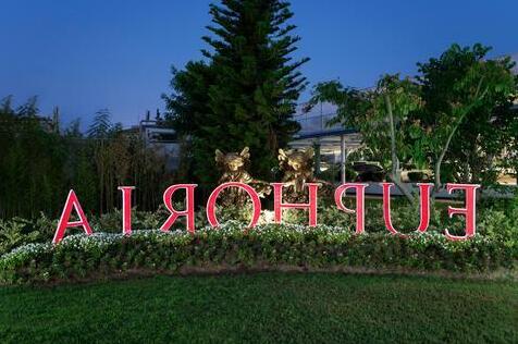 Euphoria Palm Beach Resort - Photo3