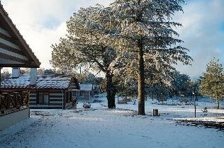 Spil Orman Koskleri - Photo3