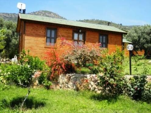 Babil Tatil Koyu - Photo2