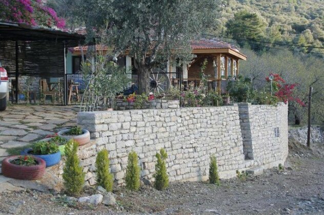 Begonvilla - Photo2