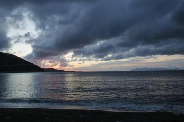 Begonvilla - Photo5