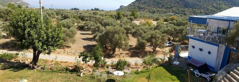 Golge Pansiyon - Photo5