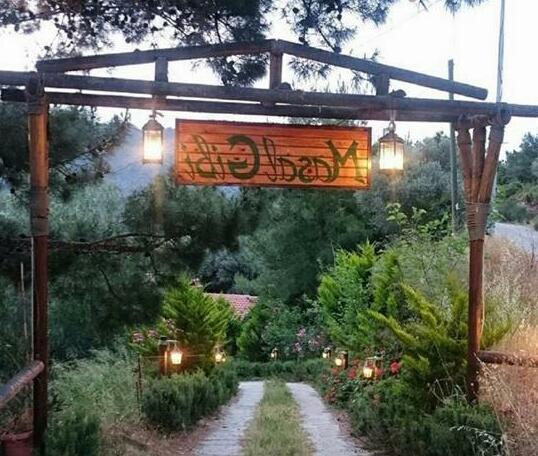 Masal Gibi - Photo2
