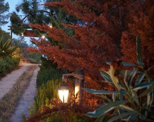 Masal Gibi - Photo5