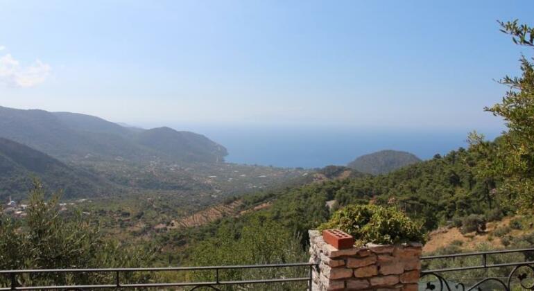 Villa Vino