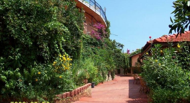 Aygul Hotel - Photo5