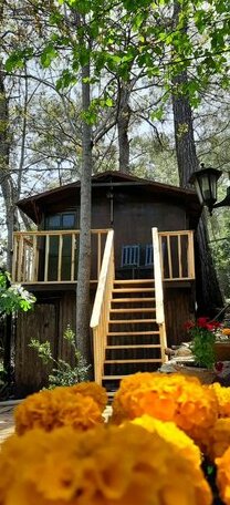 Altaris Bungalows Olympos - Photo2