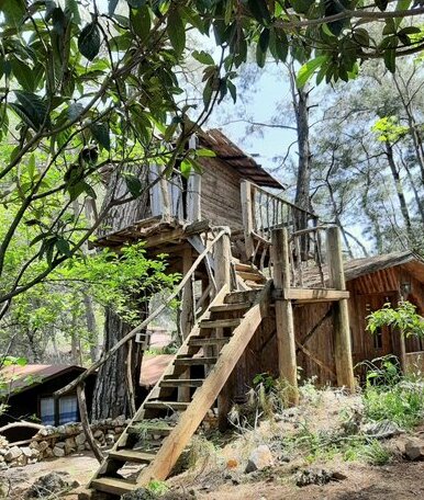 Altaris Bungalows Olympos - Photo3