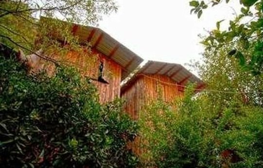 Bayrams Tree Houses