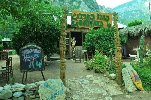 Cafe Cactus Camping