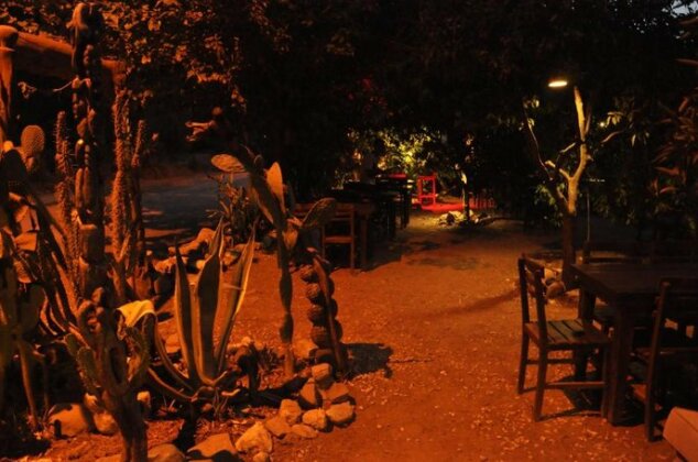 Cafe Cactus Camping - Photo2