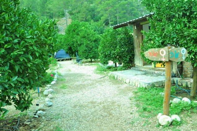 Cafe Cactus Camping - Photo3