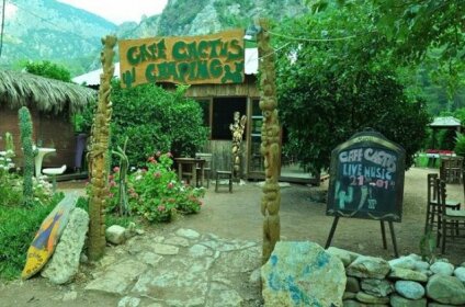 Cafe Cactus Camping