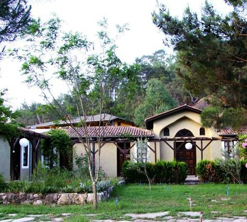 Eski Yeni Tatil Evi - Photo3