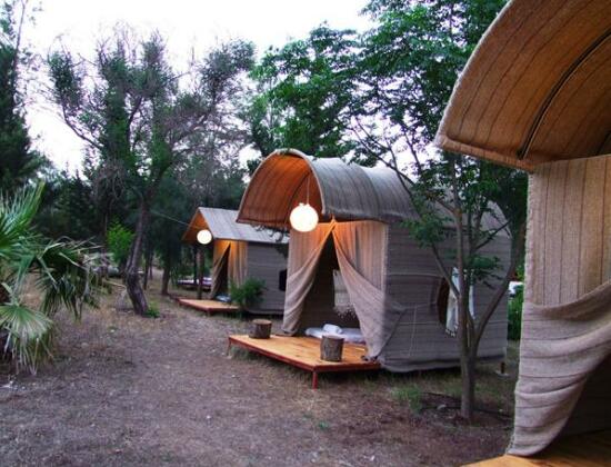 Eski Yeni Tatil Evi - Photo4