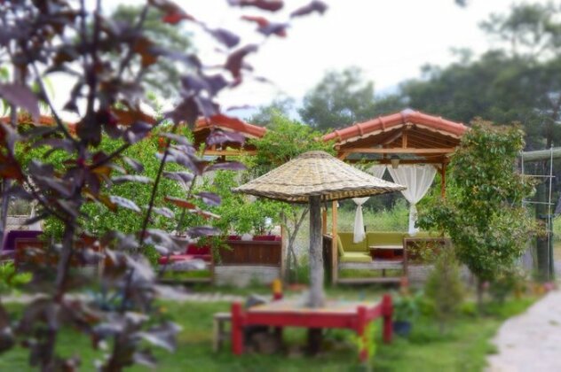 Koala Bungalows - Photo3
