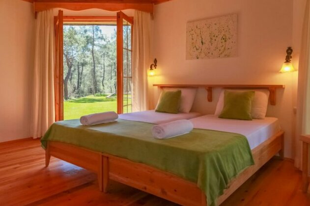 Nature Village Olympos - Photo3