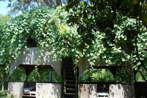 Olympos Camlik Pension - Photo3