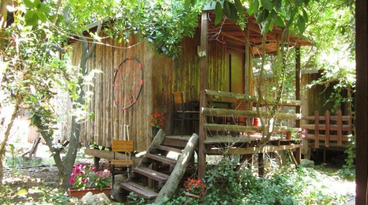 Olympos Natural Pansiyon - Photo2