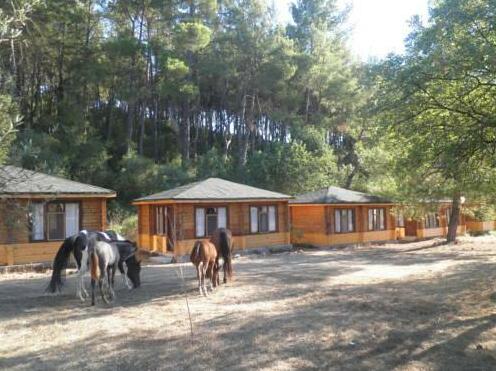 Olympos Woods Treehouses