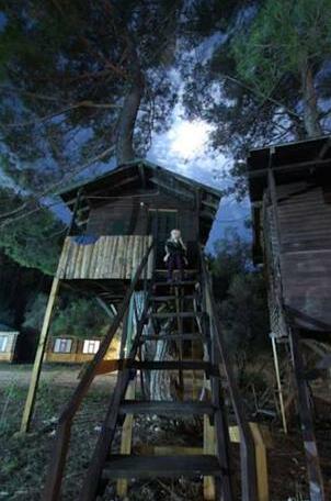 Olympos Woods Treehouses - Photo2