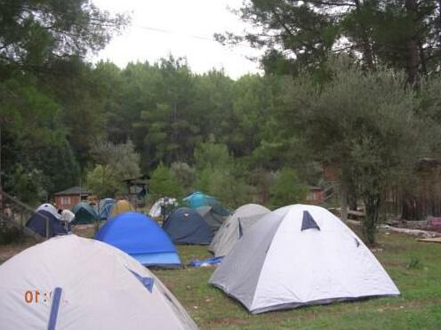 Olympos Woods Treehouses - Photo3