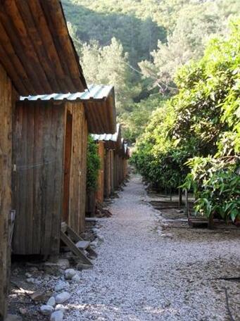 Olympos Yakamoz Pension - Photo3