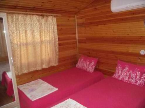 Olympos Zeytin