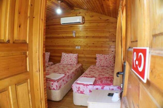 Olympos Zeytin - Photo2