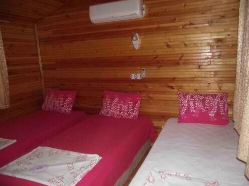 Olympos Zeytin - Photo4