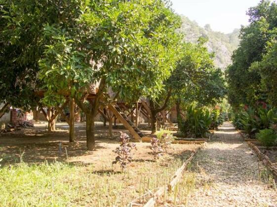 Saban Tree Houses - Photo4
