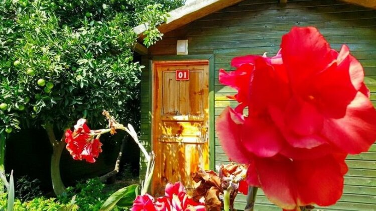 Tatilya Pansiyon Olimpos - Photo2