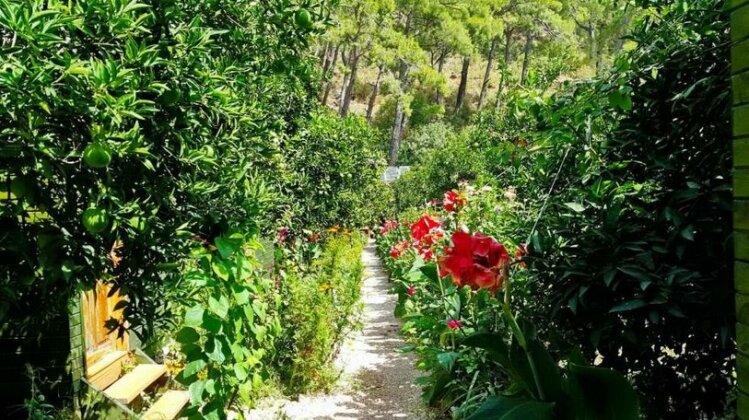 Tatilya Pansiyon Olimpos - Photo3