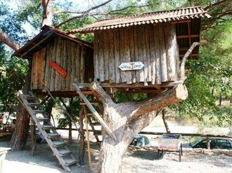 Turkmen Tree Houses - Photo4