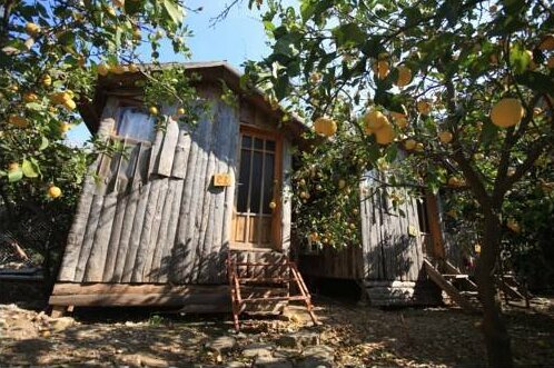 Varuna Pansiyon - Photo2