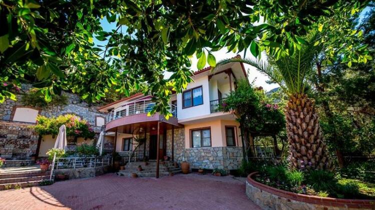 Palmetto Vip Villa - Photo2