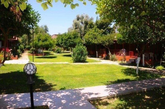 Photo 4