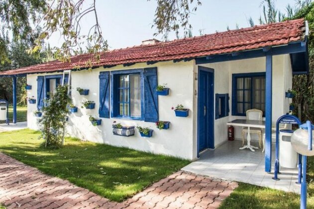 Mavi Zeytin Butik Otel - Photo2