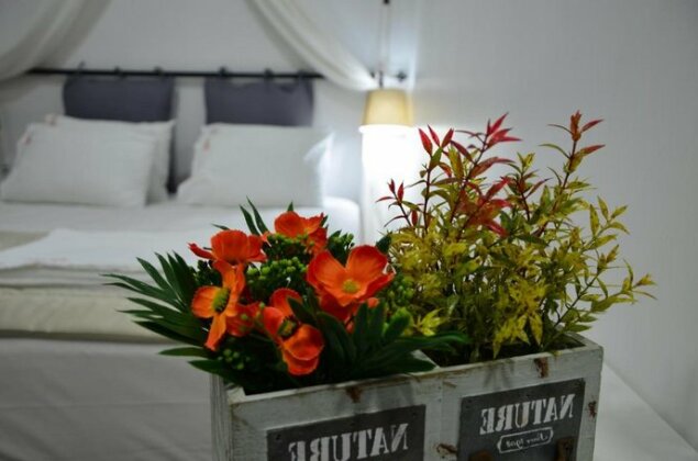 Nova Citrus Otel - Photo3