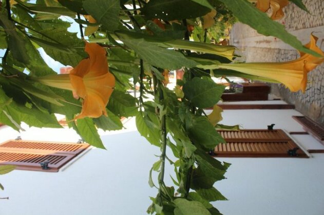 Silenos Boutique Hotel - Photo3