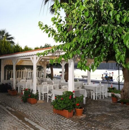 Teos Lodge - Photo2