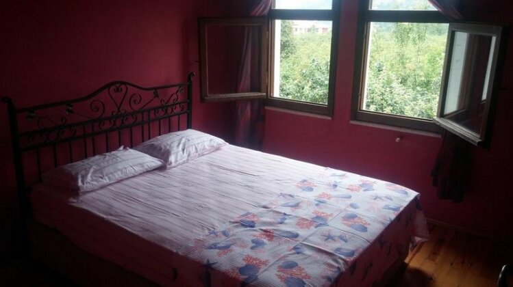 Asma - Photo3