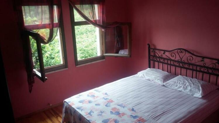 Asma - Photo5