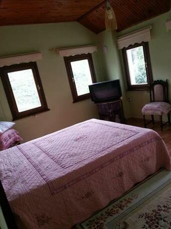 Green Valley Village - Photo5
