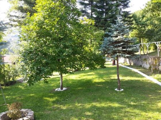 Sunset Village Garden - Photo5
