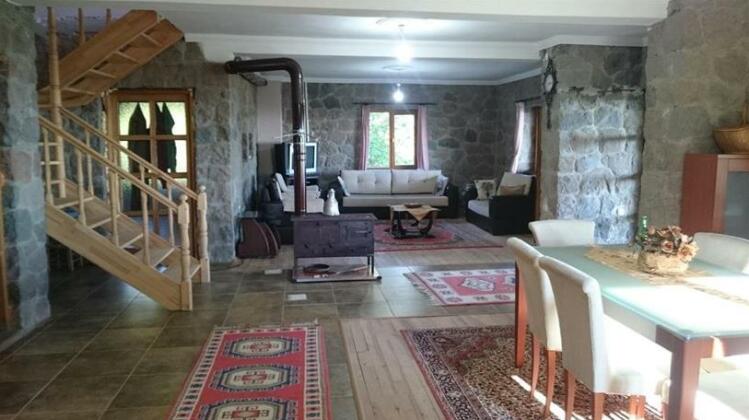 Taif Villa - Photo2